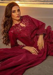 Rung Rasiya TR_367
