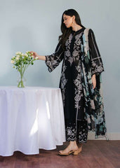 Zara shahjahan_4351